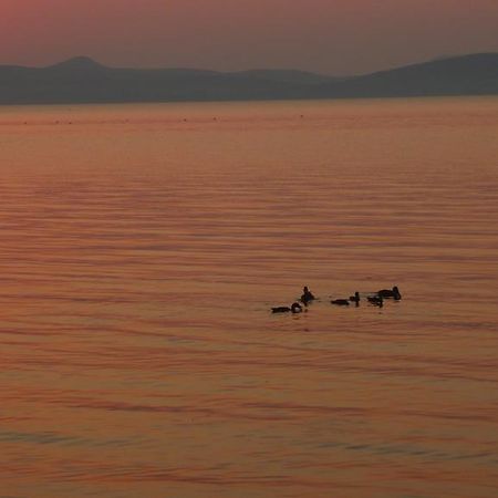 Aranyhid Hotel Balatonboglár Zewnętrze zdjęcie