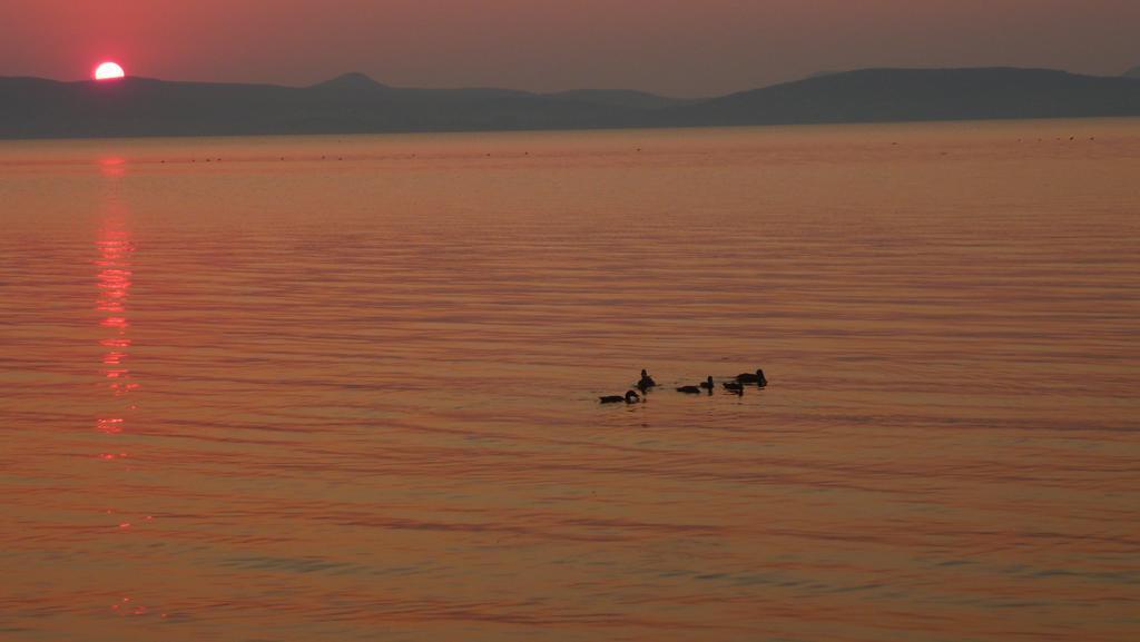 Aranyhid Hotel Balatonboglár Zewnętrze zdjęcie